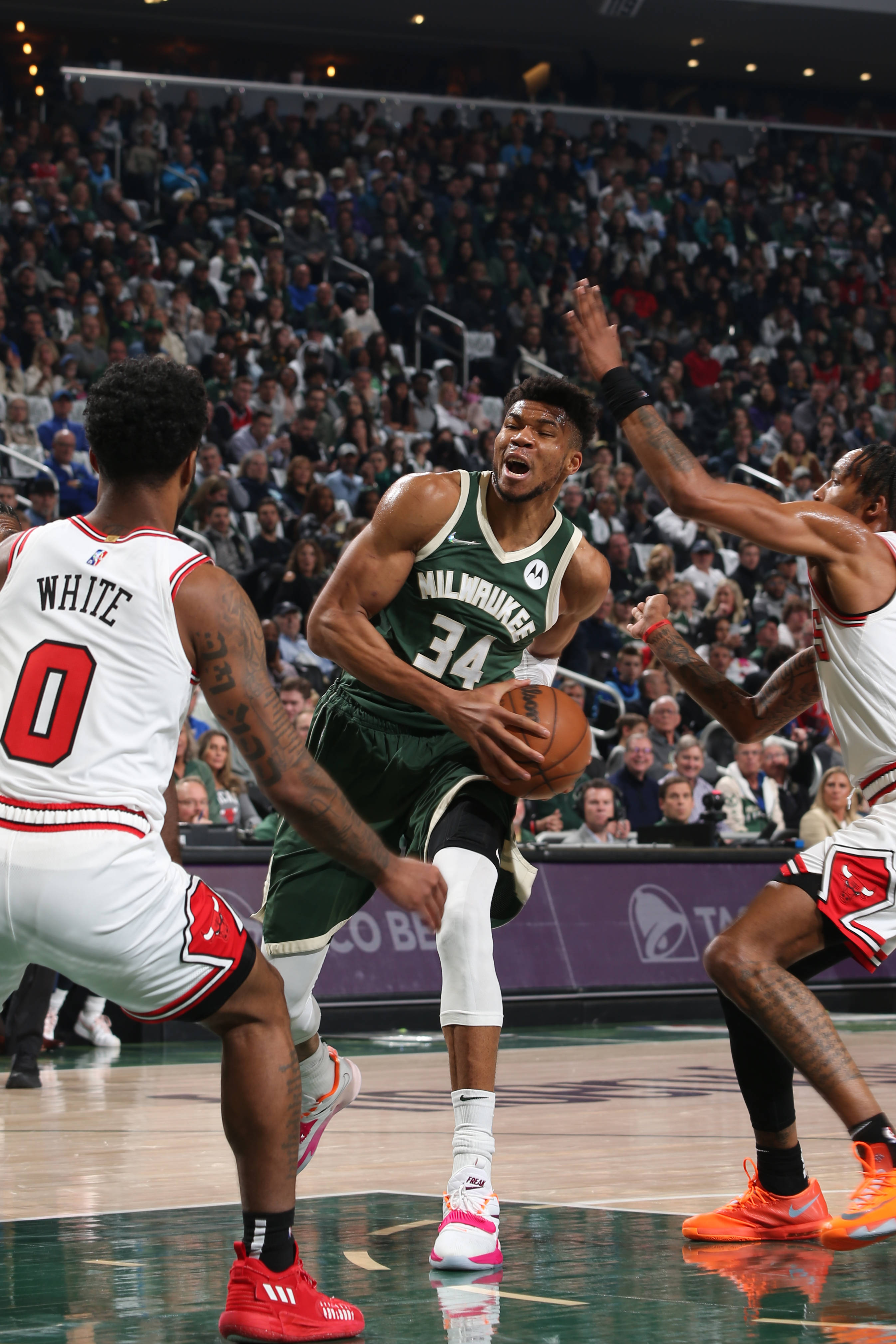 清晨夏洛特黄蜂备战欧篮联蒂姆与90激战巴黎圣日耳曼分钟，媒体一致点评：字母哥迎来三赛季高光表现的简单介绍九游体育官网